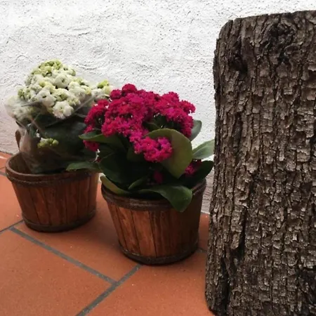 Casa Del Vico דירה